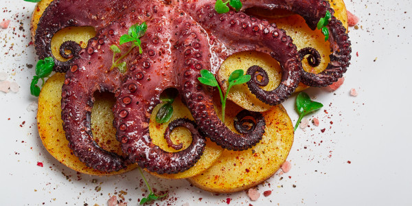 Fotografía Alimentación / Comida Polinyà · Fotografías para Cartas de Restaurantes